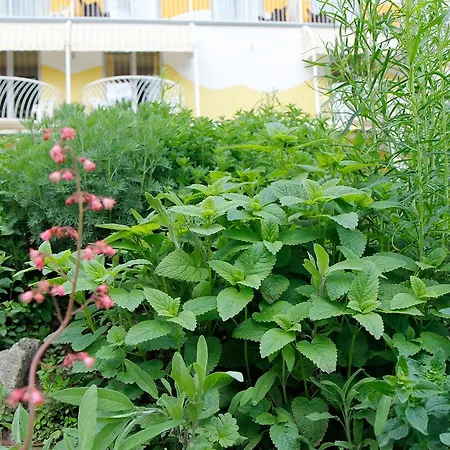 Moser - Garni Am (adults Only) Hotel Villach