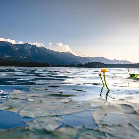 Hotel Das Moser - Hotel Garni Am See (Adults Only) Villach