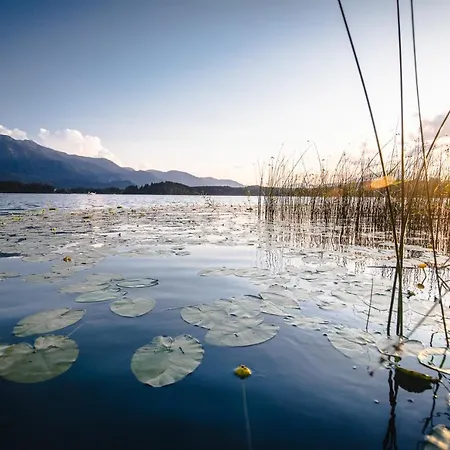 Das Moser - Hotel Garni Am See (Adults Only) Villach
